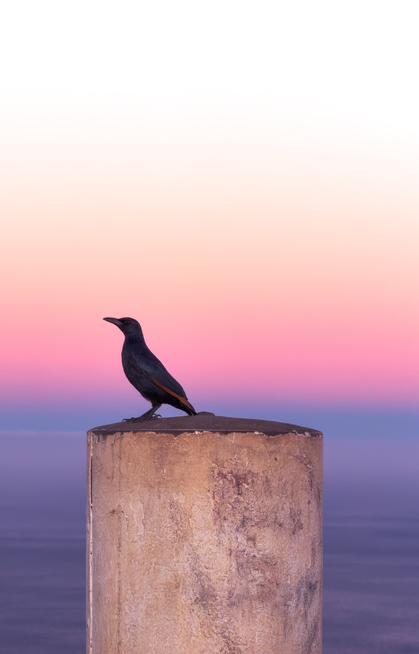 05993834 6515 4739 89EC 14EC32C0CA08 1 102 o 33.9369S 18.3940E