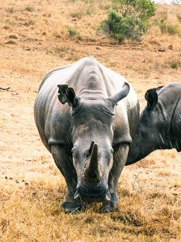 7BD04144 7F68 4380 8AC8 4A235A880984 4 5005 c 33.4590S 26.0923E