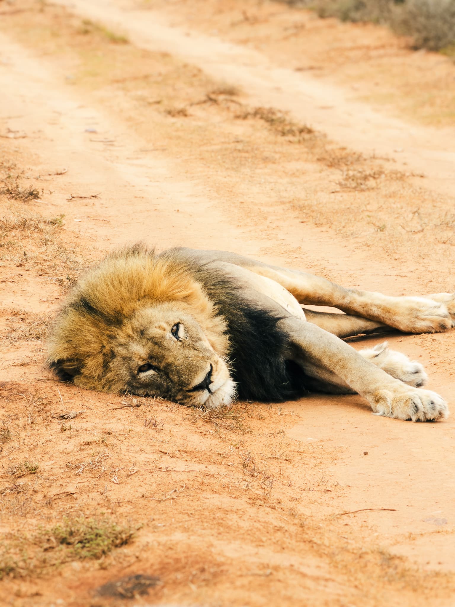 IMG 4048 33.4410S 26.0833E